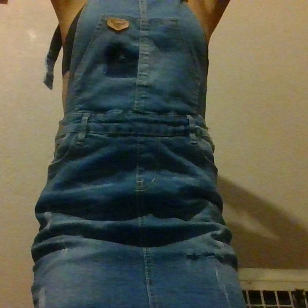 skirt overalls